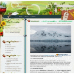 Green Spring Website Templates